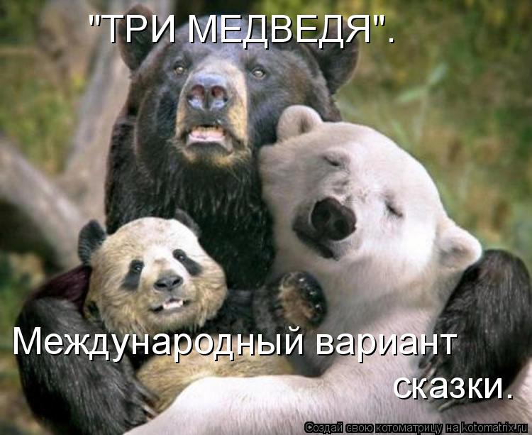 Котоматрица: "ТРИ МЕДВЕДЯ". Международный вариант сказки.
